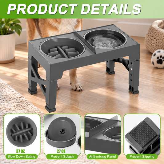 Elevated Slow Feeder Double Dog Bowl