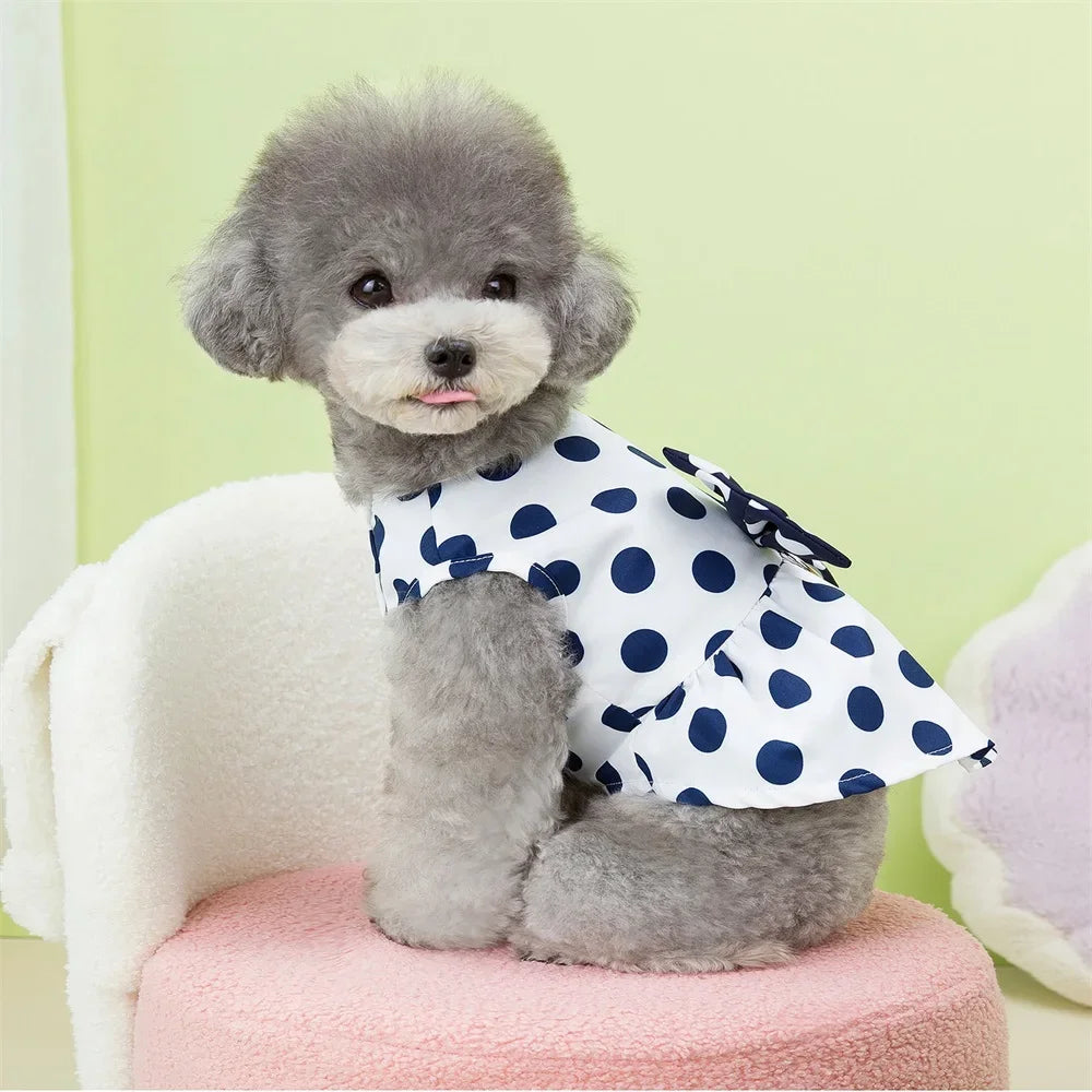 Polka Dot Princess Dress
