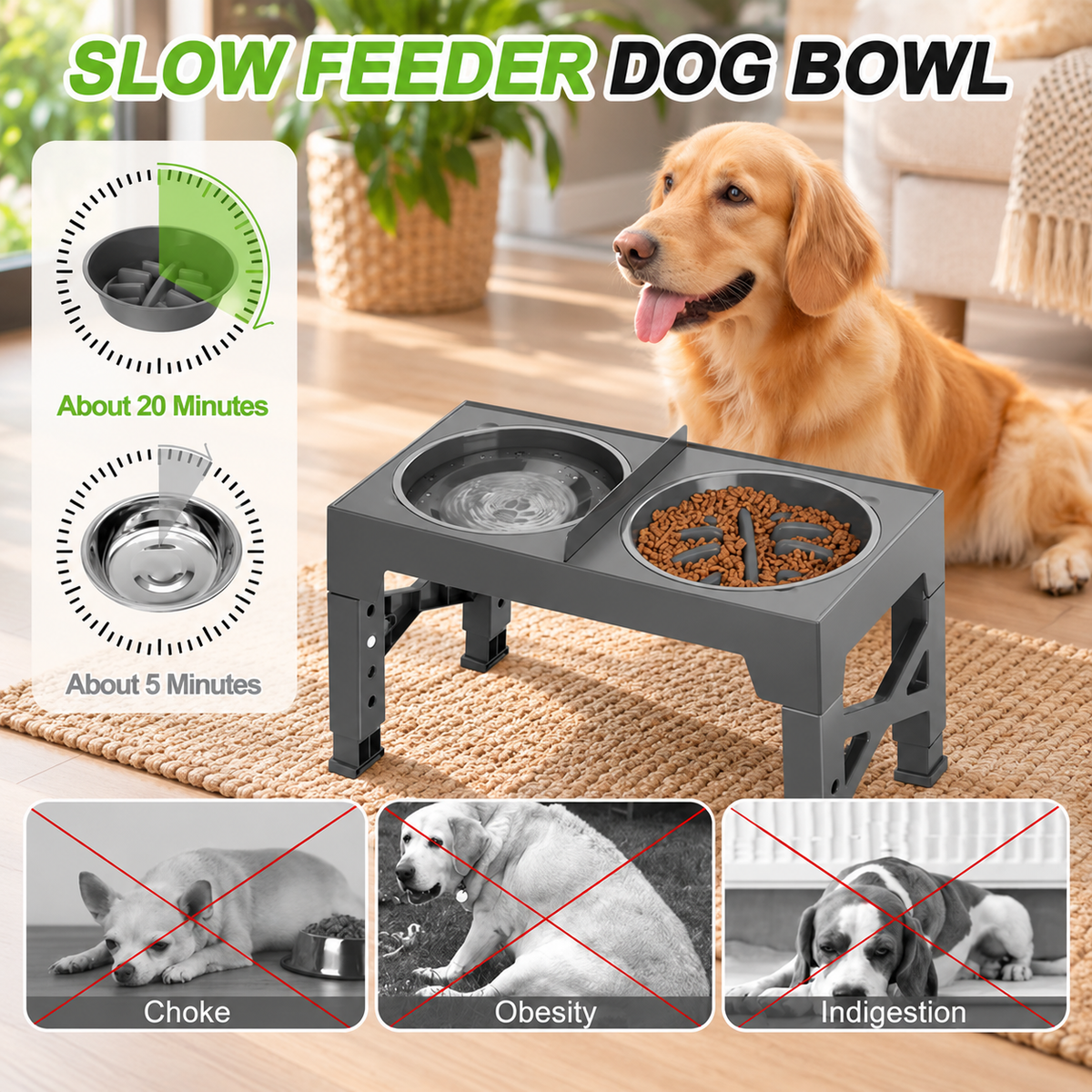 Elevated Slow Feeder Double Dog Bowl