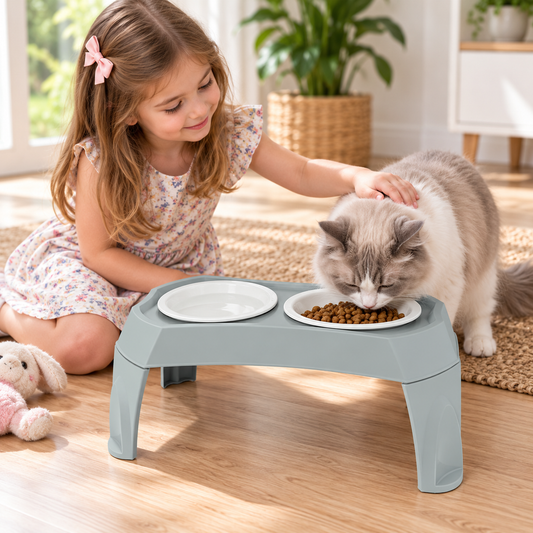 Elevated Double Pet Bowl Stand