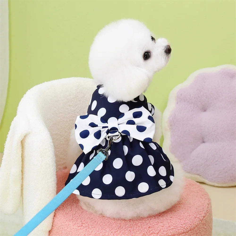 Polka Dot Princess Dress