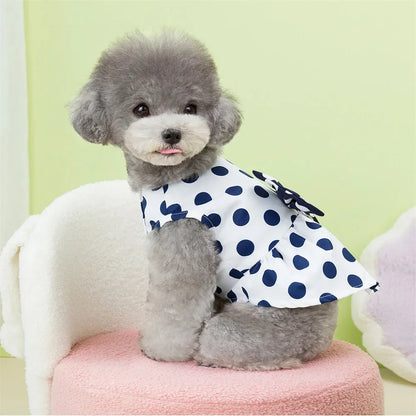 Polka Dot Princess Dress